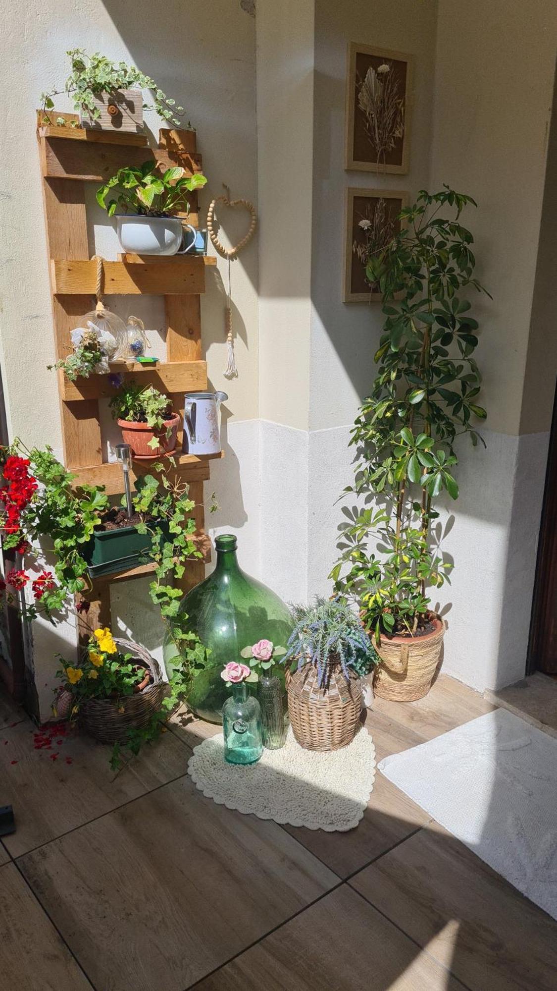 Via Mezzaterra 10 Apartman Feltre Kültér fotó